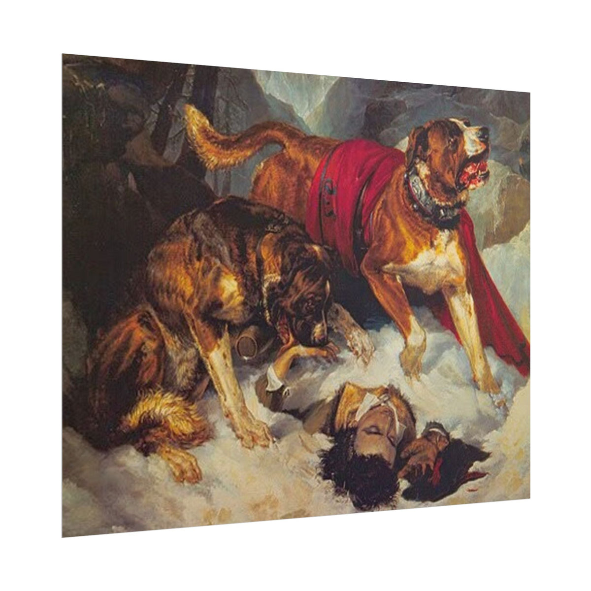 Perros de Montaña en la Nieve – Póster de Arte Clásico | Decoración Elegante